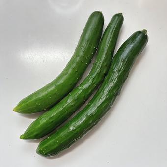きゅうり きゅうりの写真