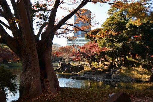 小石川後楽園の風景 小石川後楽園の風景の写真