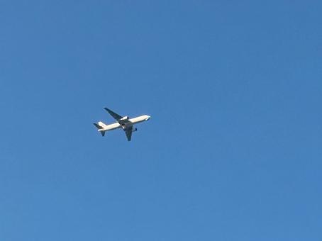 飛行機 飛行機の写真