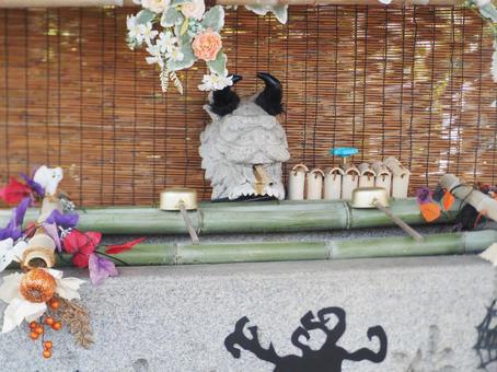 玉田神社でハロウィン 玉田神社でハロウィンの写真