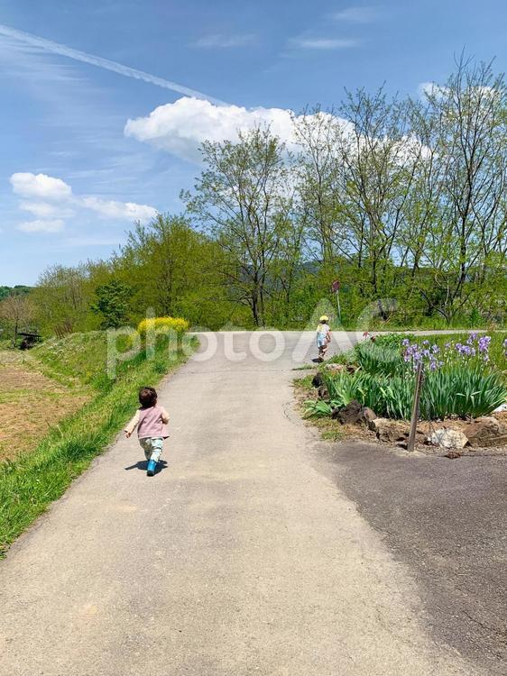 姉を追いかける弟 子供,きょうだい,仲良しの写真素材