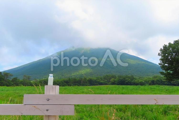 【鳥取県】大山と搾りたて牛乳 大山,牛,放牧の写真素材