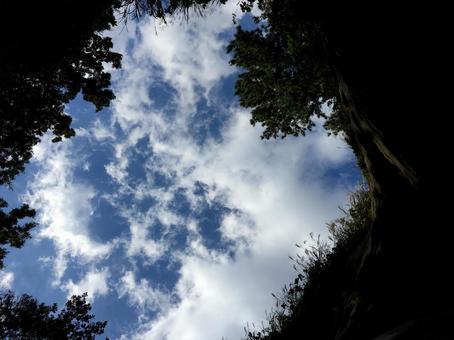 空と雲 空と雲の写真