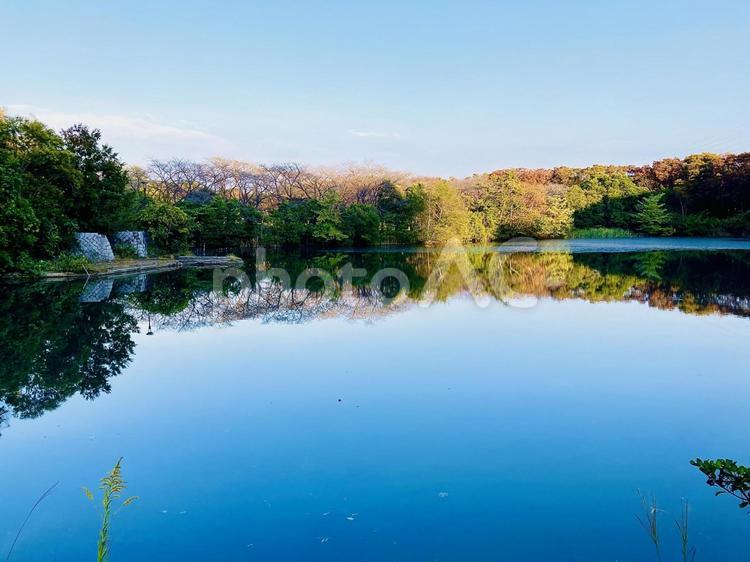 美しい空、森と湖 自然,空,湖の写真素材