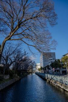 高崎市周辺の景色 高崎市周辺の景色 川,町並み,建物の写真素材