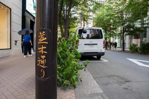 銀座並木通り 銀座並木通り 銀座,並木通り,路地の写真素材