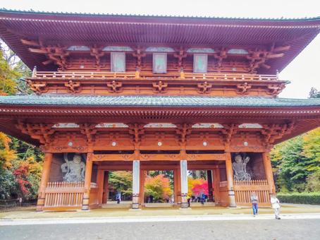 【和歌山県】高野山・大門 大門,高野山,和歌山県の写真素材