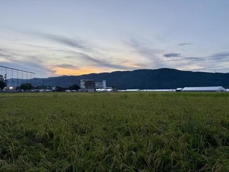 福井県　夏の夕暮れ 福井県,夕日,夕暮れの写真素材