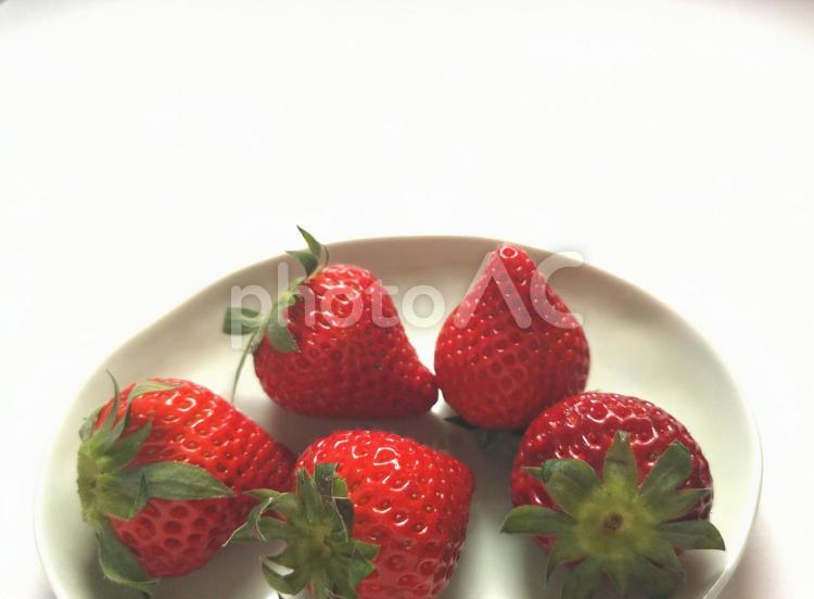 皿の上のいちご いちご,苺,イチゴの写真素材