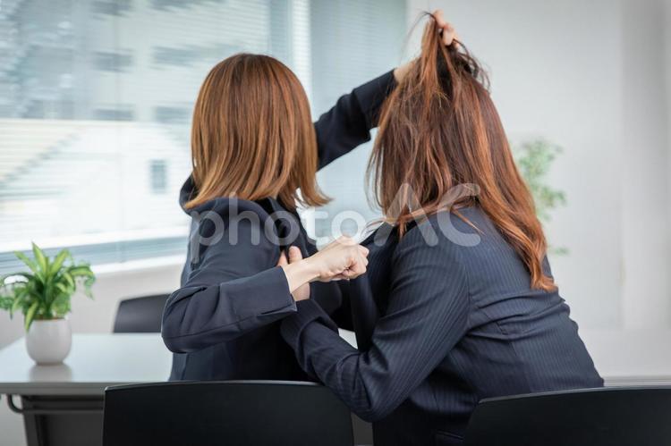 掴み合いの喧嘩をする女性社員 喧嘩,トラブル,掴み合いの写真素材