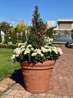 秋の武生中央公園の写真