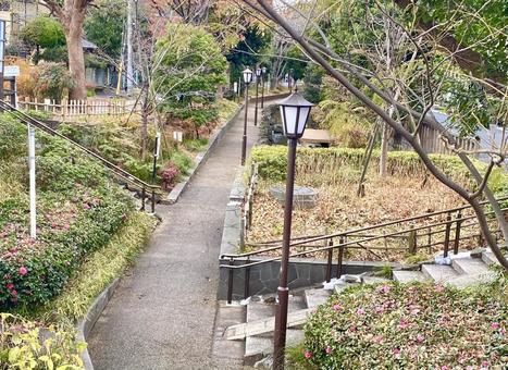 遊歩道　公園　散歩　街路灯　散歩コース 遊歩道,散歩コース,親水公園の写真素材