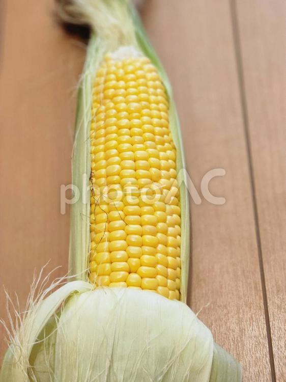 とうもろこし とうもろこし,トウモロコシ,おいしいの写真素材