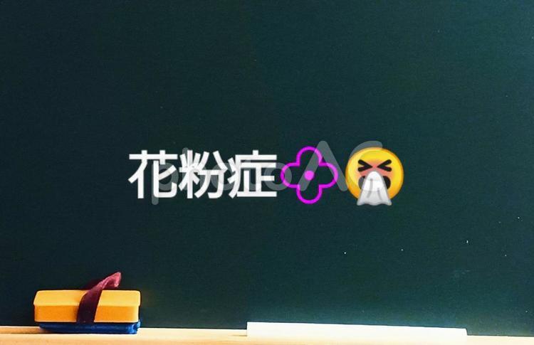 黒板に文字(花粉症) 花粉症,黒板,文字の写真素材