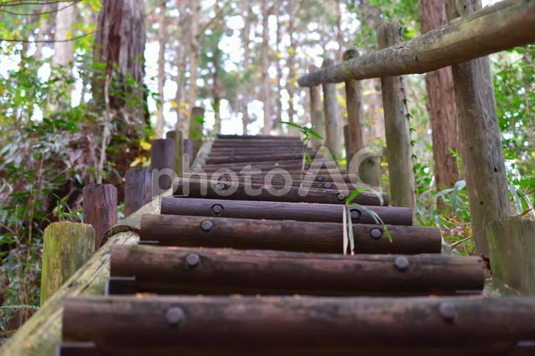 登山の階段 ハイキング,秋,きれいの写真素材