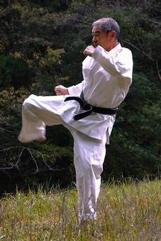 空手（まわし蹴り） 空手,形,人の写真素材