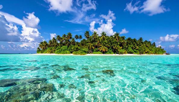 美しいサンゴ礁の海の写真