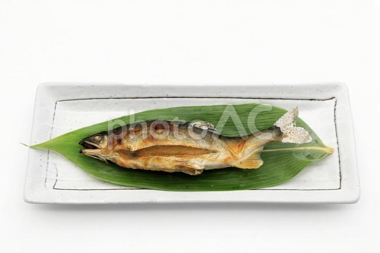 子持ち鮎の塩焼き（山形県白鷹町産） 鮎,アユ,子持ち鮎の写真素材