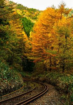 紅葉と線路 秋の景色,鉄道,秋の写真素材