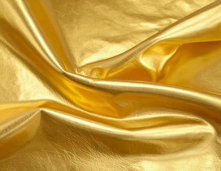 金の革03の写真