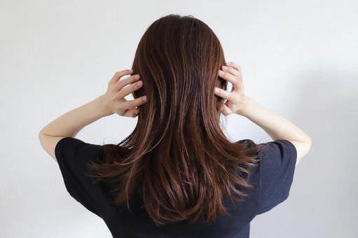 ロングヘアーの女性の後ろ姿 ロングヘアー,髪の毛,髪質の写真素材