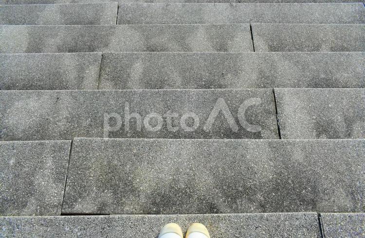 木漏れ日と石階段 木漏れ日,石階段,階段の写真素材
