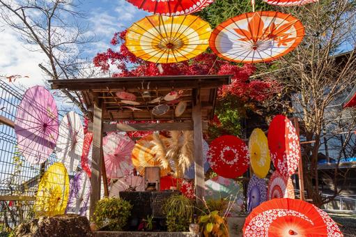 仙台八坂神社(28) 神社,仙台八坂神社,晩秋の写真素材