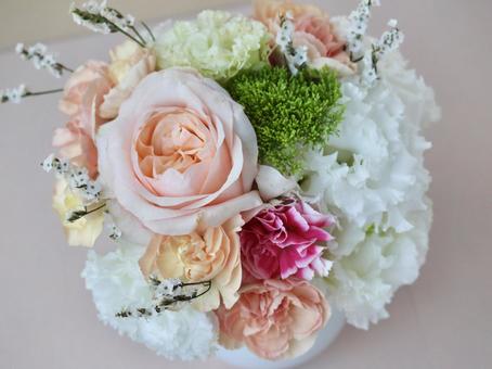 ふんわり丸い パステル調花のブーケ ふんわり丸い パステル調花のブーケ 花束,丸,ブーケの写真素材
