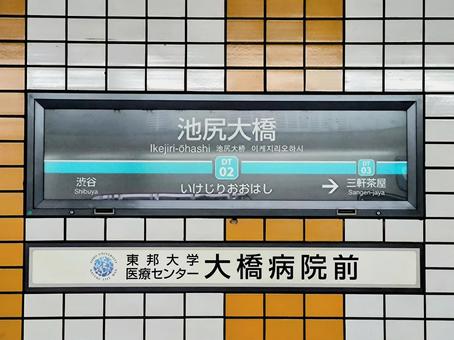東急田園都市線、池尻大橋駅、駅名板 東急田園都市線、池尻大橋駅、駅名板 東急電鉄,東急,田園都市線の写真素材