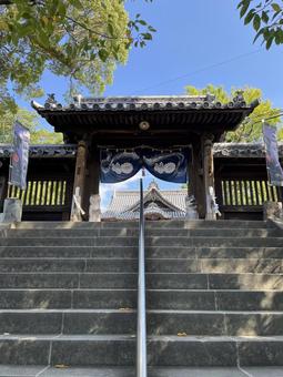 福島八幡宮 八女 福島八幡宮 八女 福岡県八女市,神社,青空の写真素材