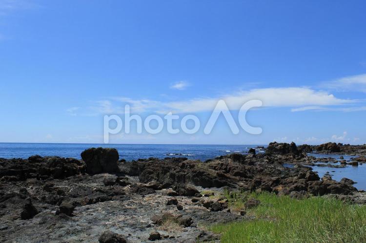 夏の日本海の岩場の景色（草あり）　３ 夏,日本海,岩場の写真素材