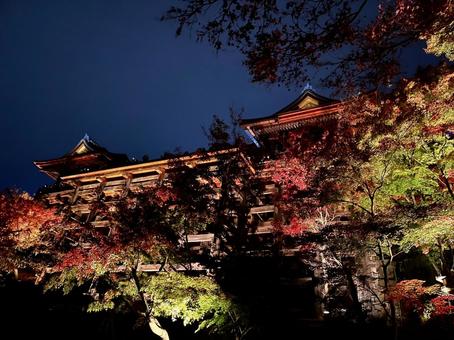 紅葉に彩られた夜の清水寺舞台 紅葉に彩られた夜の清水寺舞台 秋,紅葉,夜景の写真素材