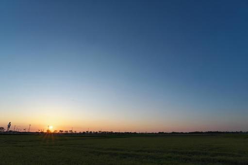 田んぼの夕日と雲一つない空 田んぼの夕日と雲一つない空の写真