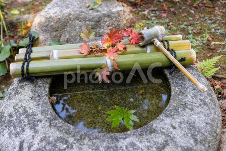 日本庭園の石の手水鉢 手水鉢,庭園,日本庭園の写真素材