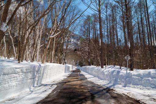 Photo, akiyama village, nagano prefecture, okimura, 