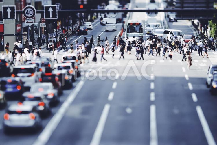 横断歩道を渡る人々と都市風景 ビジネスイメージ 横断歩道,人,人々の写真素材