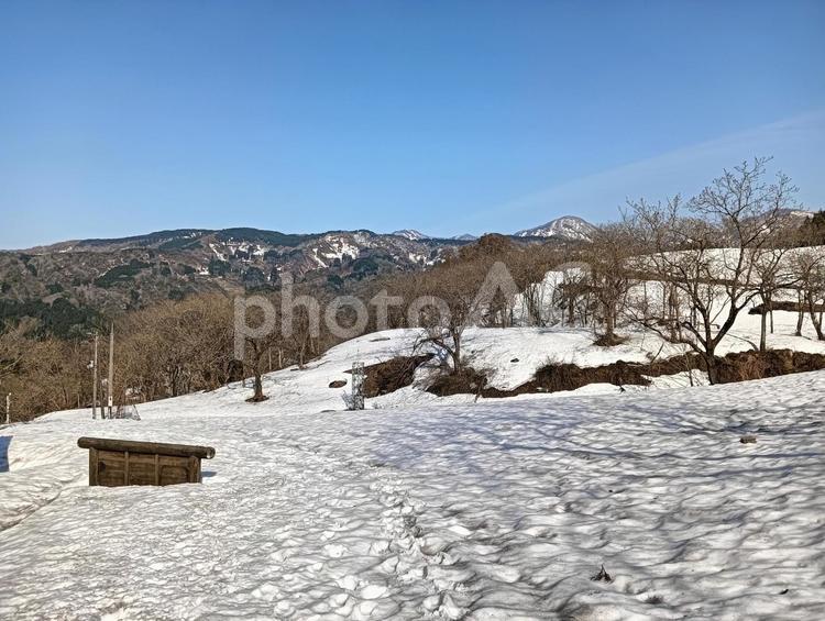 雪原 雪原,雪,森の写真素材