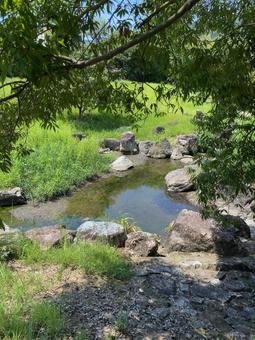 公園の池 公園の池 自然,夏,風景の写真素材