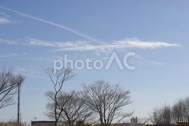 快晴と冬の木 風景,自然,空の写真素材