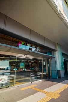 【福井】恐竜王国の福井駅周辺 【福井】恐竜王国の福井駅周辺 福井駅,恐竜,駅の写真素材