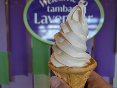 ラベンダーパークのソフトクリーム ソフトクリーム,アイス,コーンの写真素材