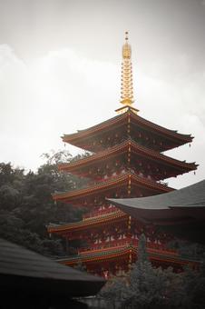 五重塔(高幡不動尊) 五重塔(高幡不動尊) 五重塔,高幡不動尊,高幡不動の写真素材