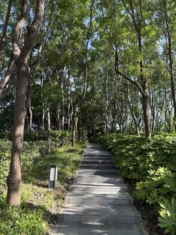 公園の一角 公園の一角の写真