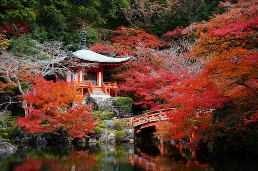 醍醐寺 醍醐寺,紅葉,京都紅葉の写真素材