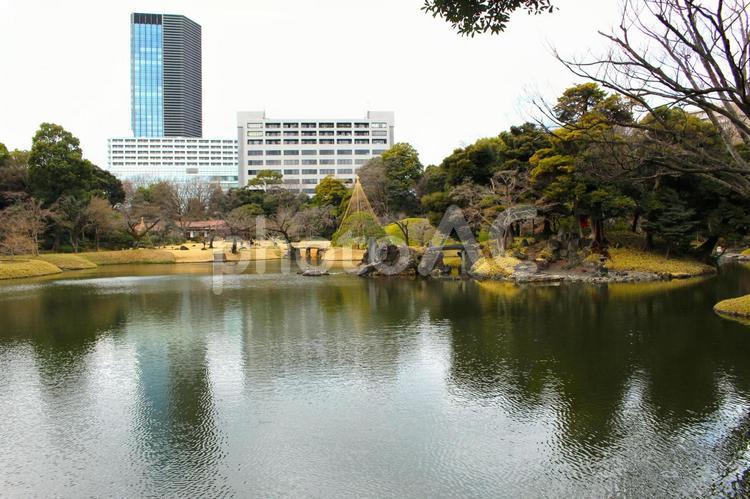小石川後楽園の池 池,小石川後楽園,植物の写真素材