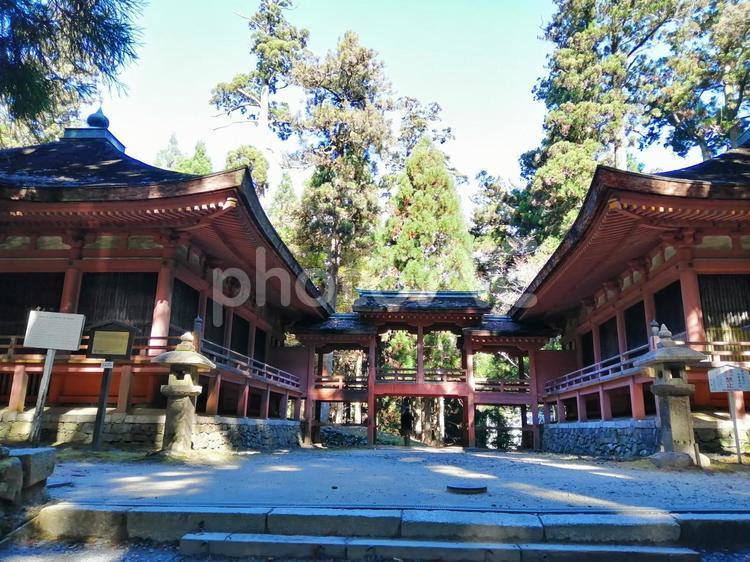 比叡山延暦寺　西塔　滋賀 比叡山延暦寺,西塔,滋賀の写真素材