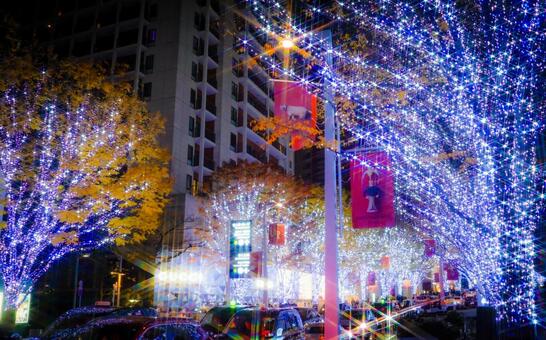 街路樹の青白イルミ イルミネーション,ライトアップ,街路樹の写真素材