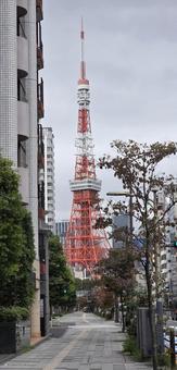 風景　東京　東京タワーの写真