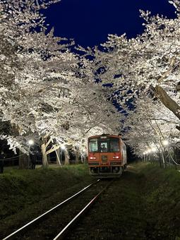 夜の津軽鉄道 走れメロス号 夜の津軽鉄道 走れメロス号 津軽鉄道,津鉄,走れメロス号の写真素材