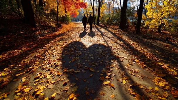 ハート_影①の写真